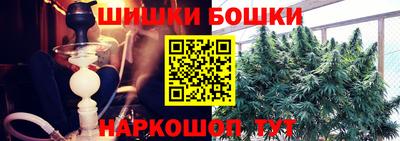 ПСИЛОЦИБИНОВЫЕ ГРИБЫ Пугачёв