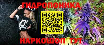 гидра Пыть-Ях