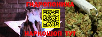 ПСИЛОЦИБИНОВЫЕ ГРИБЫ Пугачёв