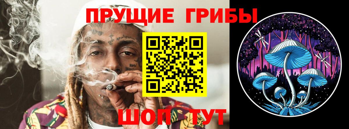 Галлюциногенные грибы GOLDEN TEACHER Сегежа
