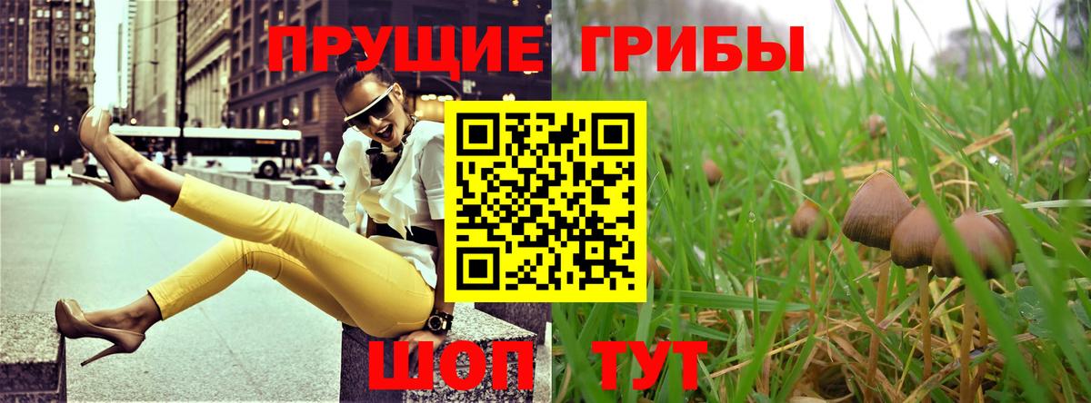 Сегежа  Галлюциногенные грибы мицелий  Вход с VPN 